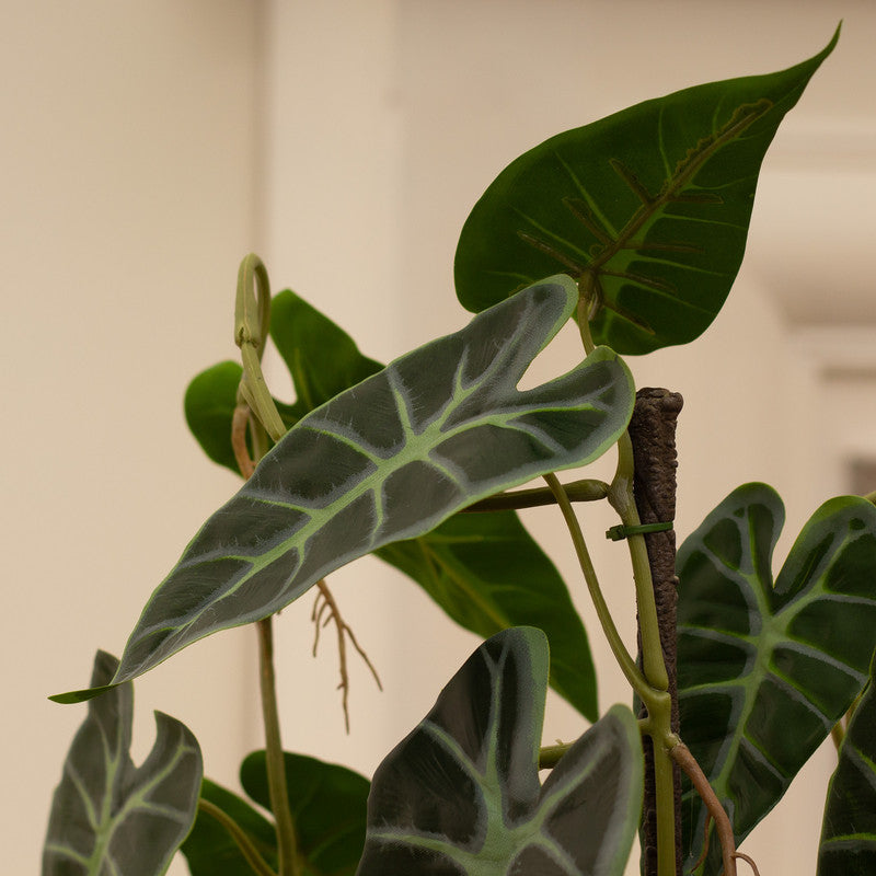 77cm Real Touch Climbing Caladium Elephant's Ear Plant